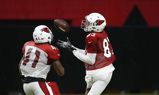 Arizona Cardinals receiver Aaron Dobson (83) makes a catch for a touchdown beating Antoine Bethea (...