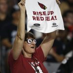 An Arizona Cardinals fan cheers during the first half of the team's NFL preseason football game against the Oakland Raiders, Saturday, Aug. 12, 2017, in Glendale, Ariz. (AP Photo/Ross D. Franklin)