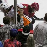 Fans get close-up view of the action as Anaheim Ducks' Rickard Rakell (67) works against an Arizona Coyotes player during the first period of an NHL preseason hockey game Monday, Sept. 25, 2017, in Tucson, Ariz. (Ron MedvescekArizona Daily Star via AP)