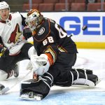 Arizona Coyotes right wing Christian Fischer, left, scores on Anaheim Ducks goalie Kevin Boyle during the first period of a preseason hockey game, Wednesday, Sept. 20, 2017, in Anaheim, Calif. (AP Photo/Mark J. Terrill)