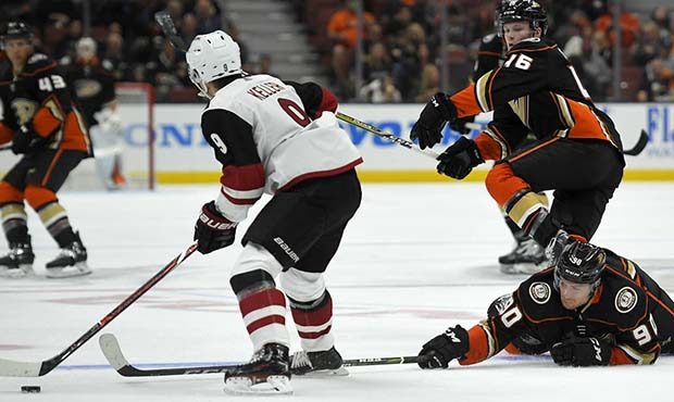 Anaheim Ducks left wing Giovanni Fiore, lower right, reaches for the puck as Arizona Coyotes center...