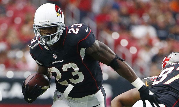 Arizona Cardinals running back Adrian Peterson (23) runs the ball against the Tampa Bay Buccaneers ...