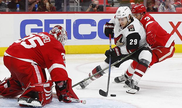 Detroit Red Wings goalie Jimmy Howard (35) stops a Arizona Coyotes right wing Mario Kempe, of Swede...