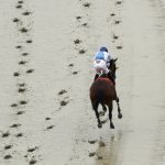 Critical Humor with Kevin Gomez atop run in the second race of the day ahead of the 143rd Preakness Stakes horse race at Pimlico race course, Saturday, May 19, 2018, in Baltimore. (AP Photo/Patrick Semansky)