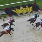 Horses run during the second race ahead of the 143rd Preakness Stakes horse race at Pimlico race track, Saturday, May 19, 2018, in Baltimore. (AP Photo/Mike Stewart)