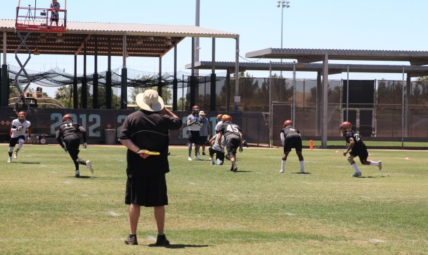 Coach Kevin Guy has led the Arizona Rattlers to nine straight playoff appearances. (Photo by Margar...