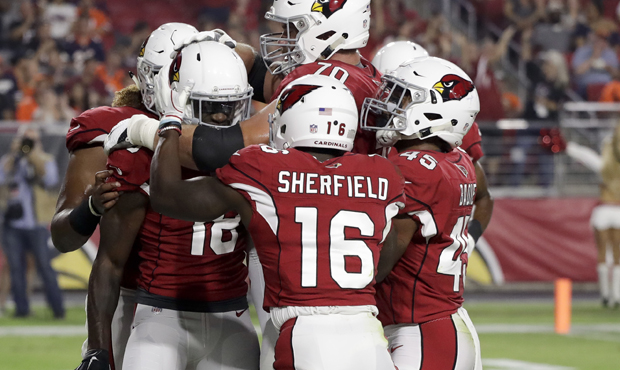 Members of the Arizona Cardinals celebrates after a touchdown by wide receiver Greg Little during t...