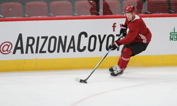 Former Blackhawks hope to help Coyotes turn around fortunes