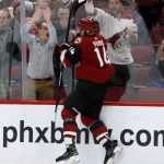 Arizona Coyotes right wing Richard Panik celebrates after scoring a goal against the Ottawa Senators in the second period during an NHL hockey game, Tuesday, Oct. 30, 2018, in Glendale, Ariz. (AP Photo/Rick Scuteri)