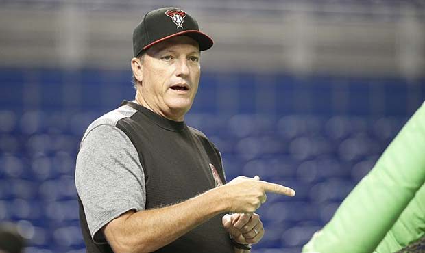 Arizona Diamondbacks hitting coach Dave Magadan is shown during batting practice before the start o...