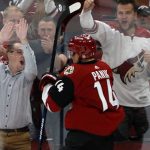 Arizona Coyotes right wing Richard Panik celebrates after scoring a goal against the Ottawa Senators in the second period during an NHL hockey game, Tuesday, Oct. 30, 2018, in Glendale, Ariz. (AP Photo/Rick Scuteri)