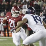 Washington State running back Max Borghi (21) runs with the ball while pursued by Arizona safety Scottie Young Jr. (19) during the second half of an NCAA college football game in Pullman, Wash., Saturday, Nov. 17, 2018. Washington State won 69-28. (AP Photo/Young Kwak)
