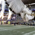 The Seattle Seahawks live mascot Taima, an augur hawk, lands on her handler's fist after leading flag bearers out of the tunnel before the first half of an NFL football game against the Arizona Cardinals, Sunday, Dec. 30, 2018, in Seattle. (AP Photo/Ted S. Warren)