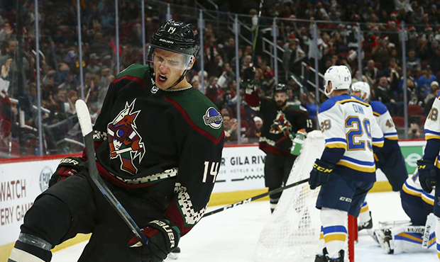 Arizona Coyotes right wing Richard Panik (14) celebrates his goal against the St. Louis Blues durin...