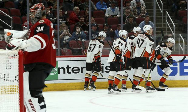 Anaheim Ducks right wing Jakob Silfverberg (33) skates back to the bench after celebrating his goal...