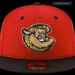 The Kane County Cougars' alternate hat.