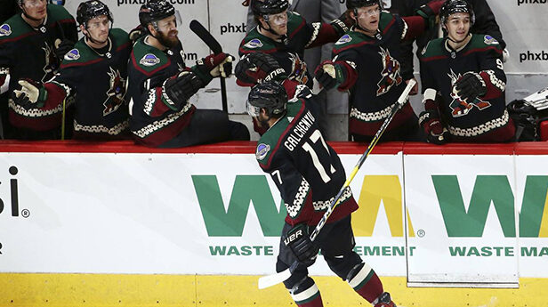 Coyotes' season ends with both disappointment and pride