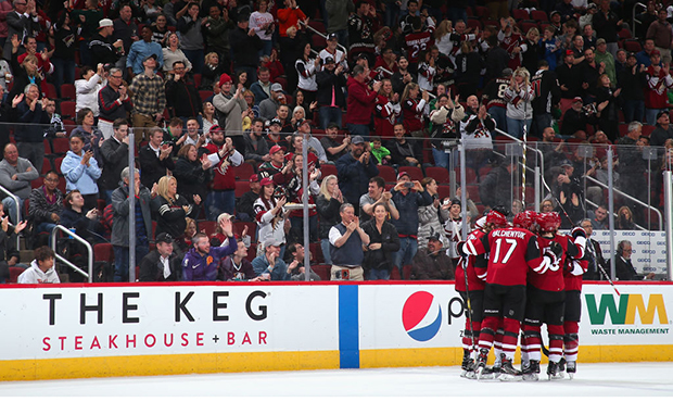The Arizona Coyotes celebrate after Jason Demers #55 scored a goal against the Anaheim Ducks (Photo...