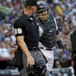 Arizona Diamondbacks catcher Alex Avila interacts with home plate umpire Jim Wolf as Wolf leaves the game after being hit by a foul ball off the bat of New York Mets' Todd Frazier during the second inning of a baseball game, Friday, May 31, 2019, in Phoenix. (AP Photo/Matt York)
