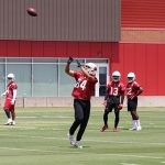 Arizona Cardinals TE Caleb Wilson goes through drills during the team’s minicamp on Tuesday, June 11, in Tempe. (Tyler Drake/ArizonaSports)