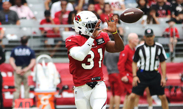 Arizona Cardinals RB David Johnson caches a pass during the team’s Red and White Practice Saturda...