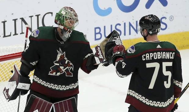NHL pluses and minuses: Phoenix Coyotes' defense has scoring touch - Los  Angeles Times