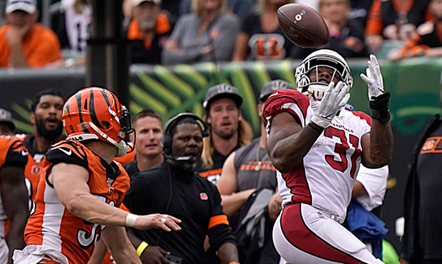 David Johnson #31 of the Arizona Cardinals catches a pass during the NFL football game against the ...