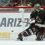 Arizona Coyotes goaltender Antti Raanta gives up a goal to San Jose Sharks' Dylan Gambrell during the second period of an NHL hockey game Saturday, Nov. 30, 2019, in Glendale, Ariz. (AP Photo/Ross D. Franklin)
