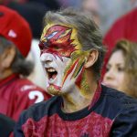 An Arizona Cardinals fan cheers during the first half of an NFL football game against the Los Angeles Rams, Sunday, Dec. 1, 2019, in Glendale, Ariz. (AP Photo/Ross D. Franklin)