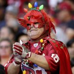 An Arizona Cardinals fan cheers during the first half of an NFL football game against the Cleveland Browns, Sunday, Dec. 15, 2019, in Glendale, Ariz. (AP Photo/Ross D. Franklin)