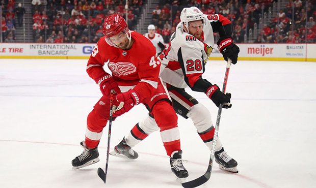 Darren Helm #43 of the Detroit Red Wings battles for the puck with Connor Brown #28 of the Ottawa S...
