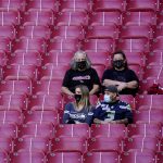 Arizona Cardinals and Seattle Seahawks fans watch their teams prior to an NFL football game, Sunday, Oct. 25, 2020, in Glendale, Ariz. (AP Photo/Ross D. Franklin)