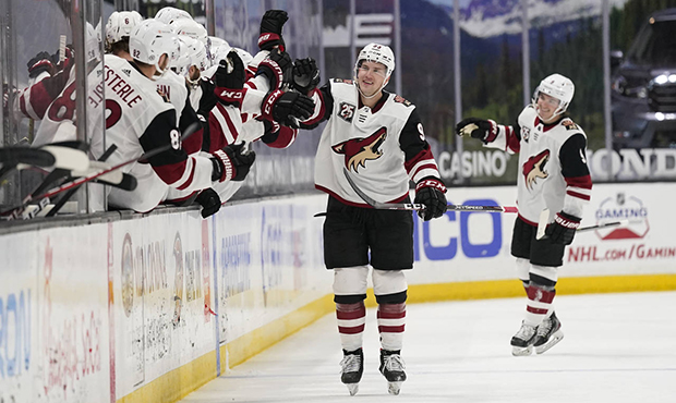 Arizona Coyotes' Lane Pederson, center, is congratulated for his goal during the second period of a...