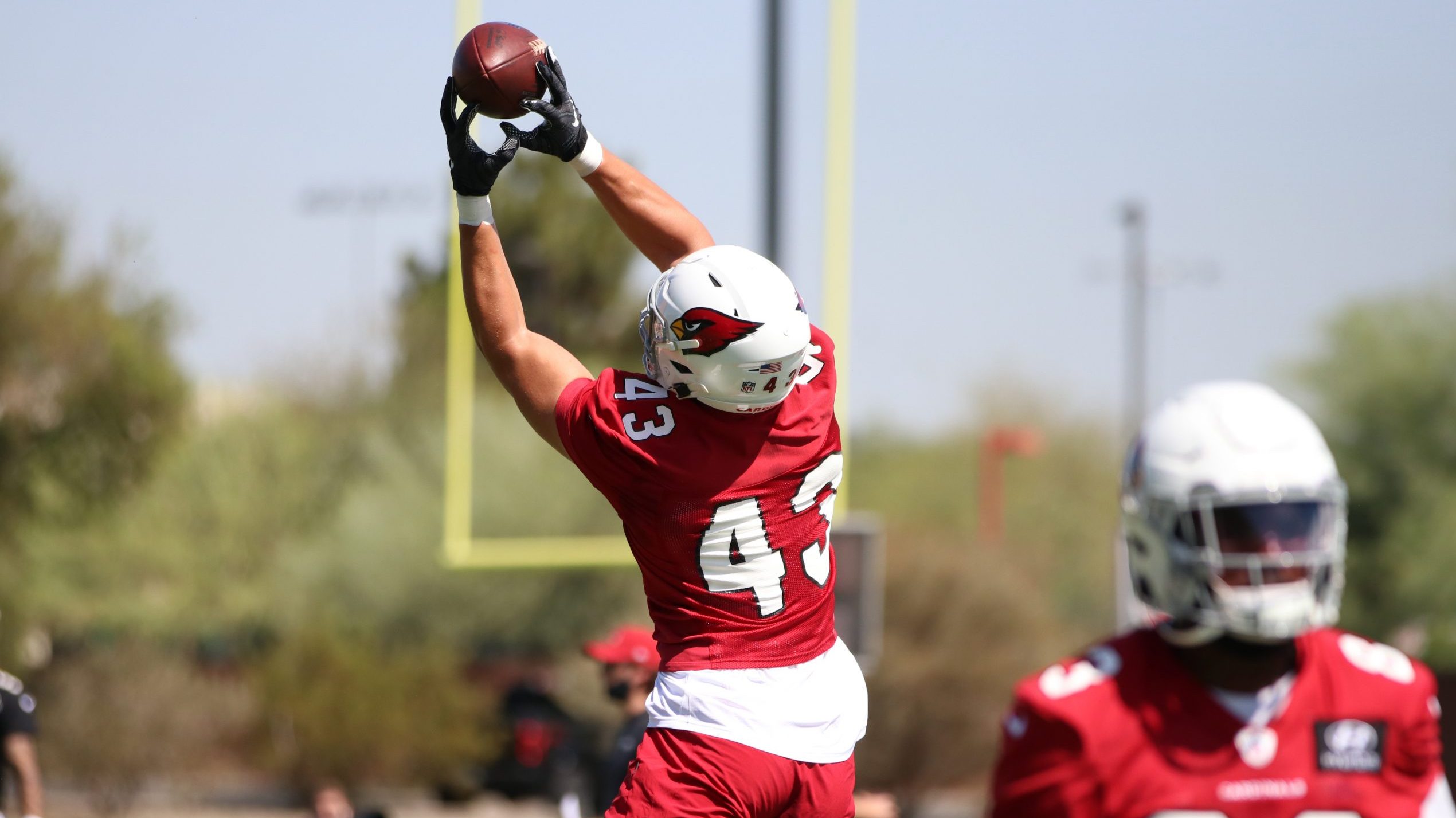 Arizona Cardinals tight end Bernhard Seikovits makes a catch during rookie minicamp Friday, May 14,...