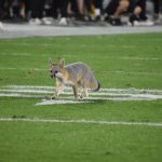 Fox at Sun Devil Stadium for ASU vs USC (Arizona Sports: Jeremy Schnell)