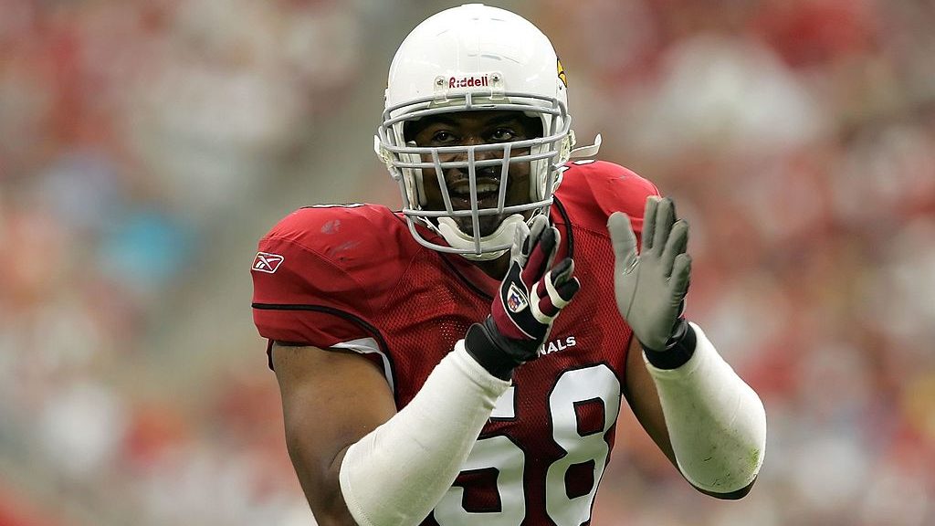 Linebacker Karlos Dansby #58 of the Arizona Cardinals claps in the second half against the St. Loui...