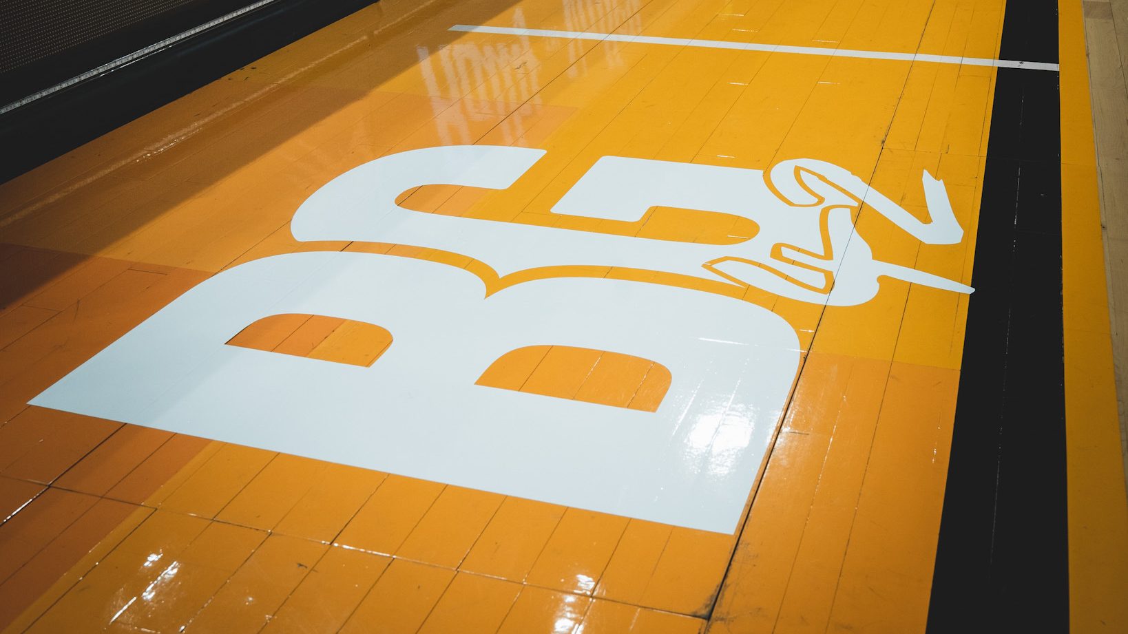 Brittney Griner decal at center court on the Phoenix Suns court in the NBA playoffs. DAPS is supporting BG by donating proceeds to the Brittney Griner defense fund.
Image via Arizona Sports