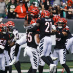 
              The Cincinnati Bengals celebrate a Logan Wilson (55) interception during the first half of an NFL football game against the New York Jets Sunday, Sept. 25, 2022, in East Rutherford, N.J. (AP Photo/Seth Wenig)
            
