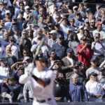
              Fans cheer as New York Yankees' Aaron Judge prepares to bat against the Boston Red Sox during the third inning before a baseball game Saturday, Sept. 24, 2022, in New York. (AP Photo/Jessie Alcheh)
            
