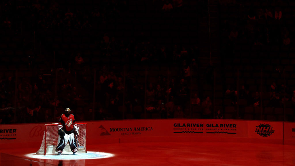Goaltender Karel Vejmelka #70 of the Arizona Coyotes is introduced before the NHL game against the ...