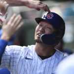
              Chicago Cubs' Seiya Suzuki celebrates with teammates in the dugout after scoring on a Franmil Reyes single during the first inning of a baseball game against the Cincinnati Reds Sunday, Oct. 2, 2022, in Chicago. (AP Photo/Paul Beaty)
            