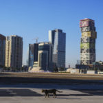 
              A cat walks in a street with the Marina Twin Towers, right, in the background in Lusail  downtown, Qatar, Thursday, Nov. 24, 2022. (AP Photo/Pavel Golovkin)
            