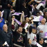 Arizona Coyotes fans wave towels on Hockey Fights Cancer night during the first period of an NHL hockey game between the Coyotes and the Florida Panthers in Tempe, Ariz., Tuesday, Nov. 1, 2022. (AP Photo/Ross D. Franklin)