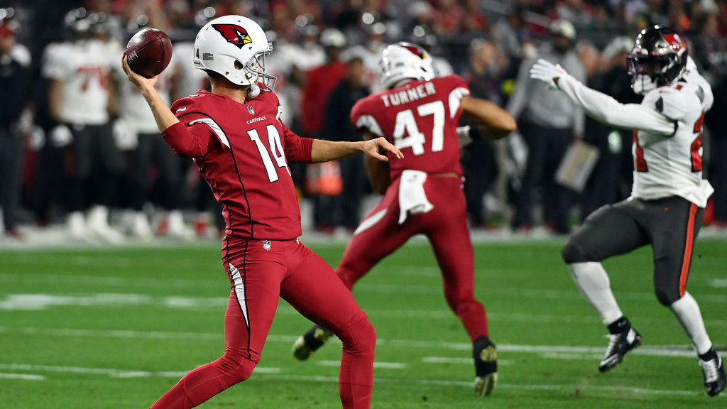 Punter Andy Lee #14 of the Arizona Cardinals throws a pass for a completion for a first down during...