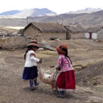 
              Girls carry a dying sheep amid an ongoing drought in the Cconchaccota community of the Apurimac region in Peru, on Nov. 26, 2022. (AP Photo/Guadalupe Pardo)
            