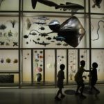 Children play during a visit to Qatar National Museum, in Doha, Qatar, Sunday, Dec. 4, 2022. (AP Photo/Jorge Saenz)