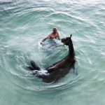 
              Denis Hooker trains his race horse named Pereque in the sea near the shore of San Andres Island in Colombia, on Nov. 11, 2022. (AP Photo/Ivan Valencia)
            