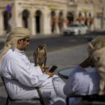 A man holds a falcon in a terrace of a bar in Doha, Qatar, Tuesday, Nov. 29, 2022. (AP Photo/Manu Fernandez)