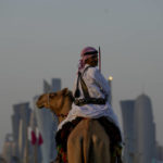 A guard rides his camels outside the Amiri Diwan in Doha, Sunday, Nov. 27, 2022. (AP Photo/Natacha Pisarenko)