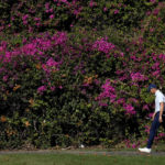 
              Jordan Spieth walks up the fifth fairway during the second round of the Sony Open golf tournament, Friday, Jan. 13, 2023, at Waialae Country Club in Honolulu. (AP Photo/Matt York)
            